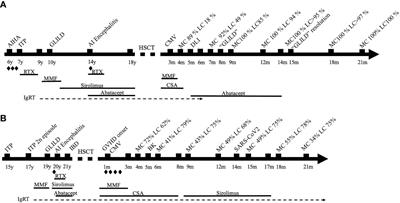 Case report: Challenges in immune reconstitution following hematopoietic stem cell transplantation for CTLA-4 insufficiency-like primary immune regulatory disorders